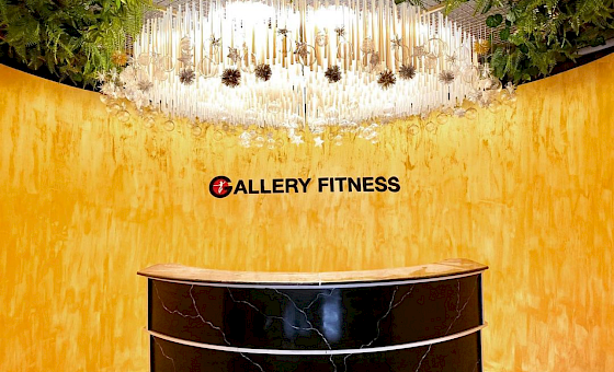Gallery Fitness