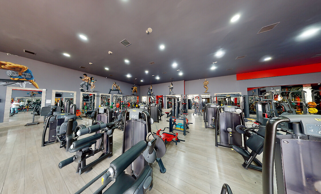 Golden Fitness